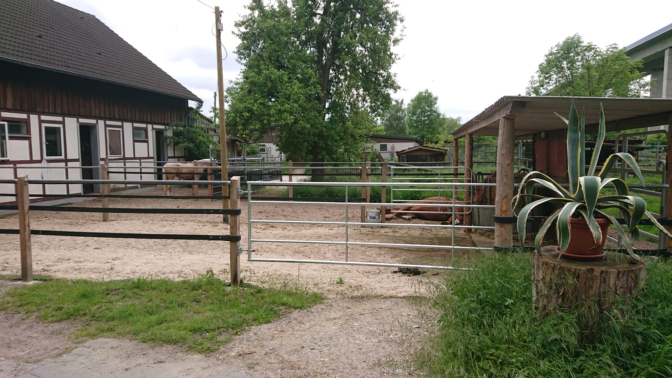 Aktivboxen, hier mit schlafendem Pferd