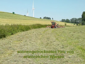 Selbstgemachtes Heu, sonnengetrocknet von artenreichen Wiesen.