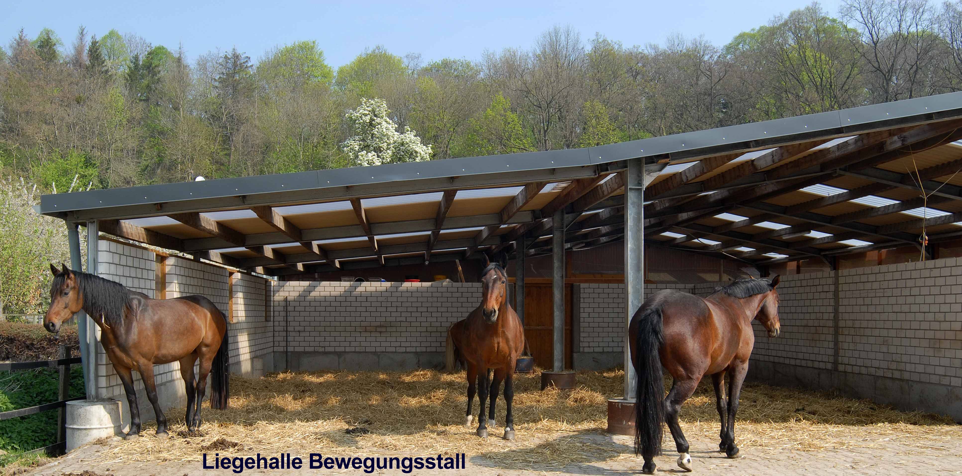 Liegehalle Bewegungsstall 2